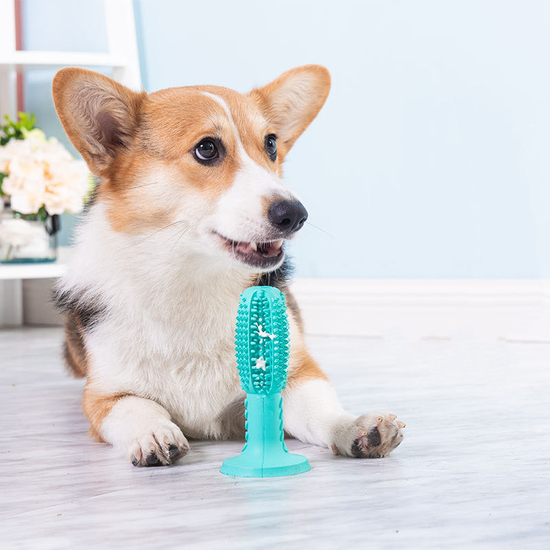 The new UnivSale - dog toothbrush, dog molar cleaning stick, leak-proof feeding device, bite-resistant dog toy 